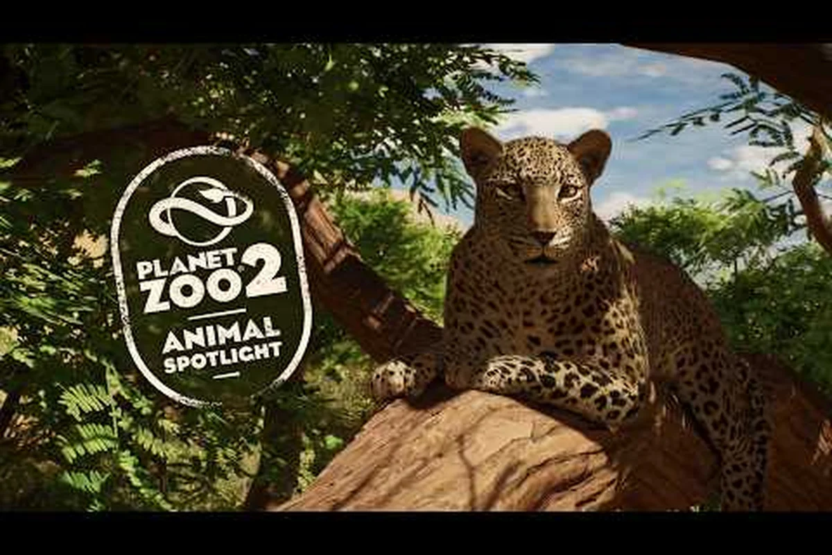 Planet Zoo 2 Animal Lifespan: Aging, Research & Rare Morphs