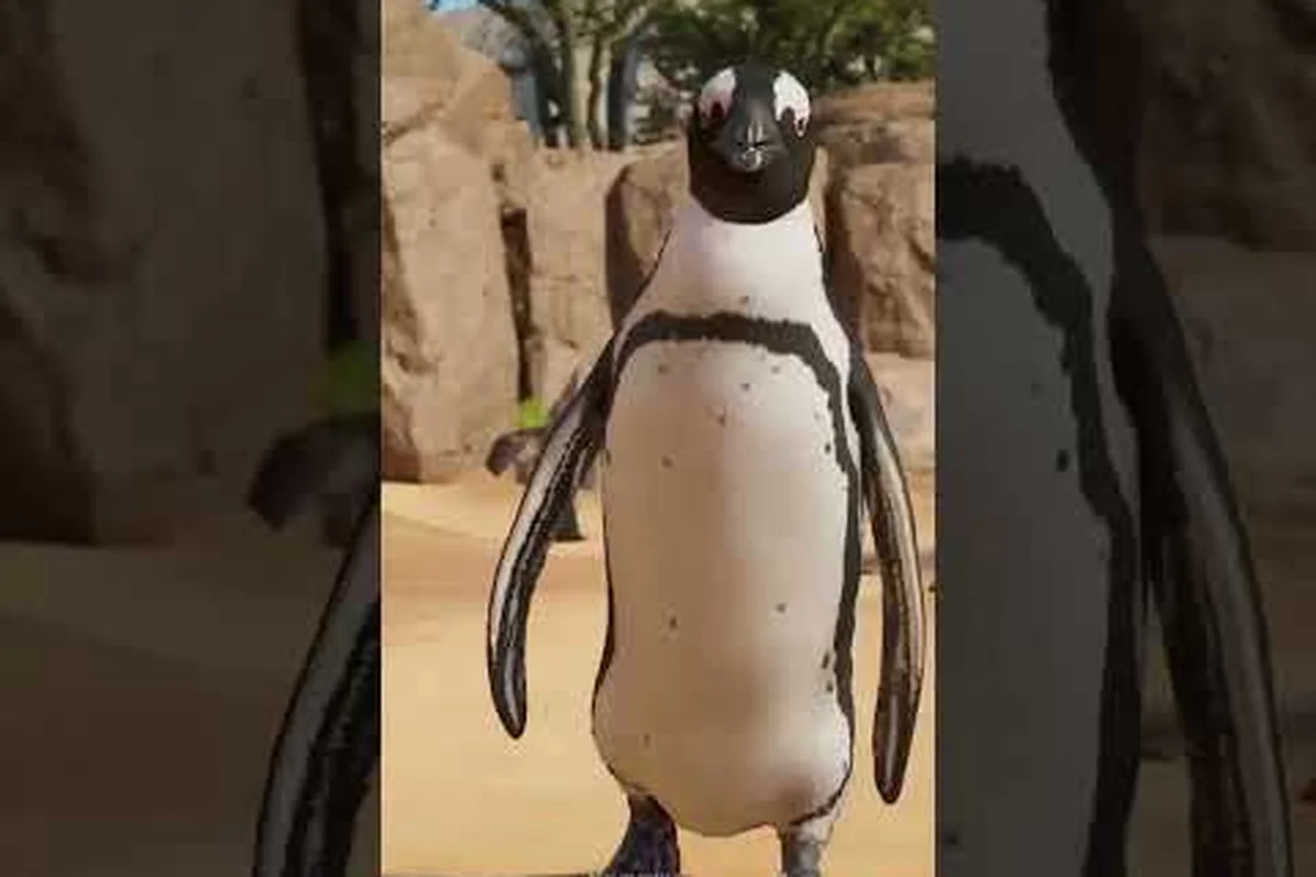 Planet Zoo 2 Animal Roster Guide: Every Species in the Zoopedia