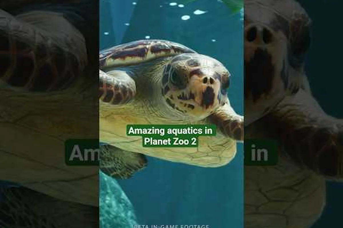 Planet Zoo 2 Workshop Creations: Share, Edit & Grid Snap