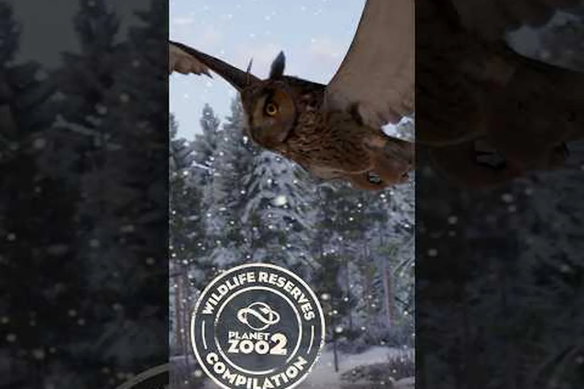 Planet Zoo 2 Rewild Animals: Reserve Release & Education Tips