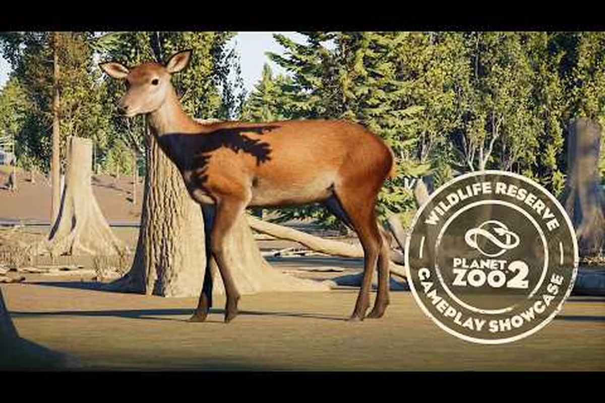 Planet Zoo 2 Reserve Management: Rewilding & Biodiversity Tips