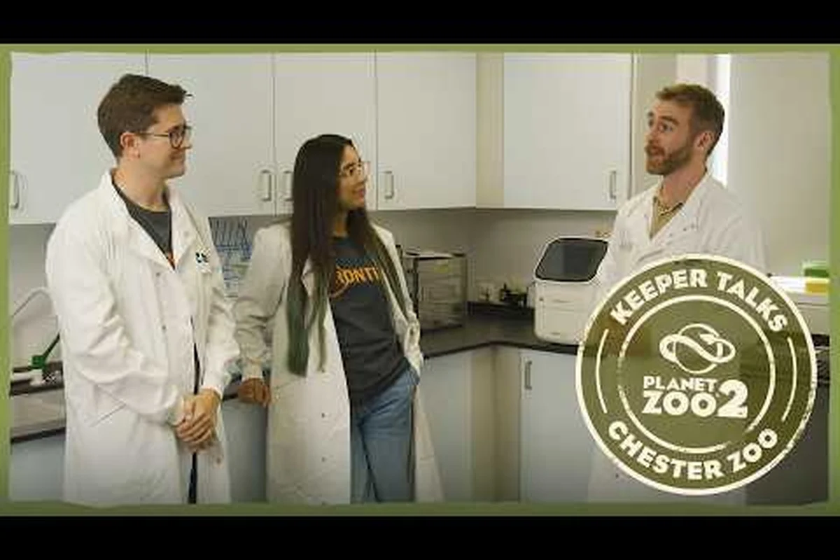 Planet Zoo 2 Staff: Keepers, Vets, Mechanics & Accreditation
