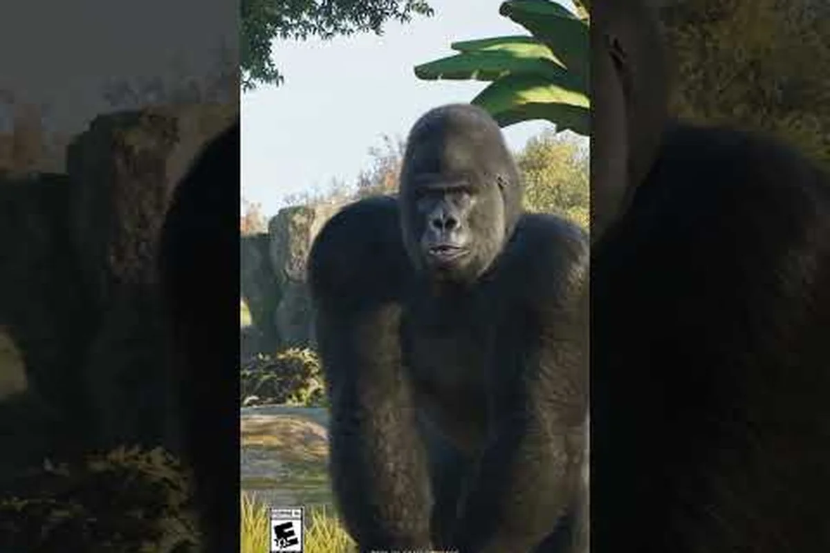 Planet Zoo 2 Group Edit: Delete, Undo, Redo & Environment Tools