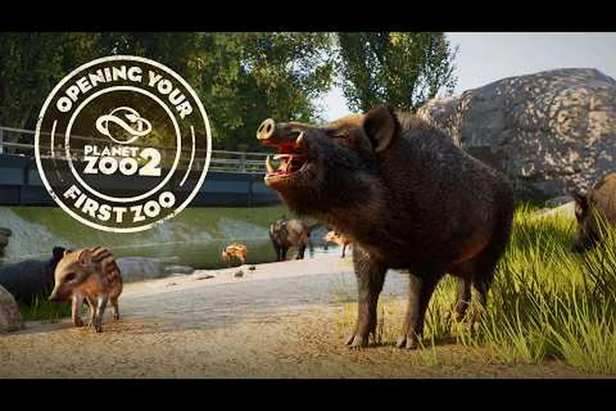 Planet Zoo 2 How to Start a Zoo: First Day to Profit
