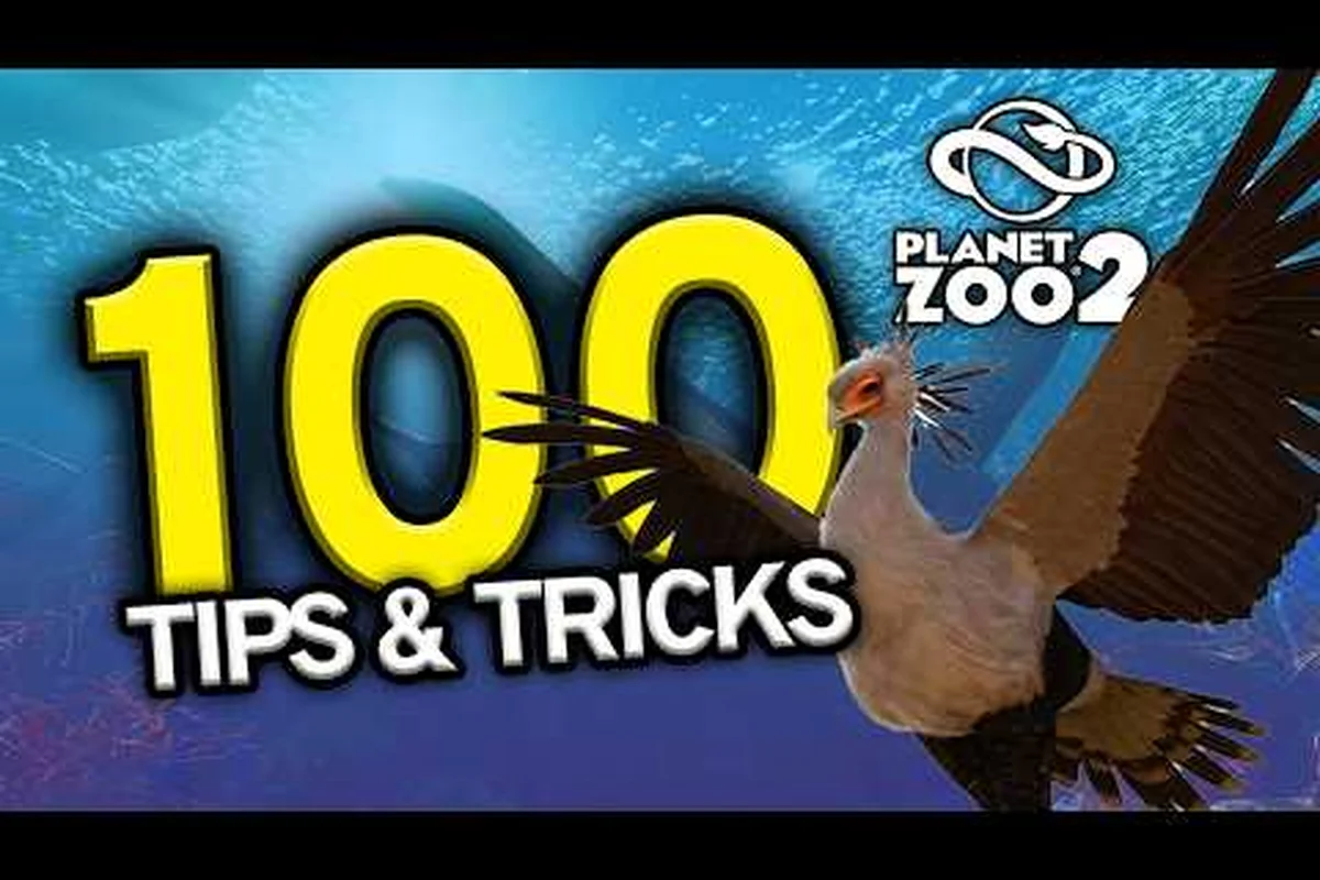 Planet Zoo 2 Beginner Guide: First Steps to a Thriving Zoo