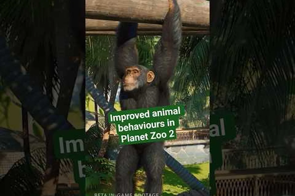 Planet Zoo 2 Habitat Comfort: Glass Panels, Viewing & Power Setup
