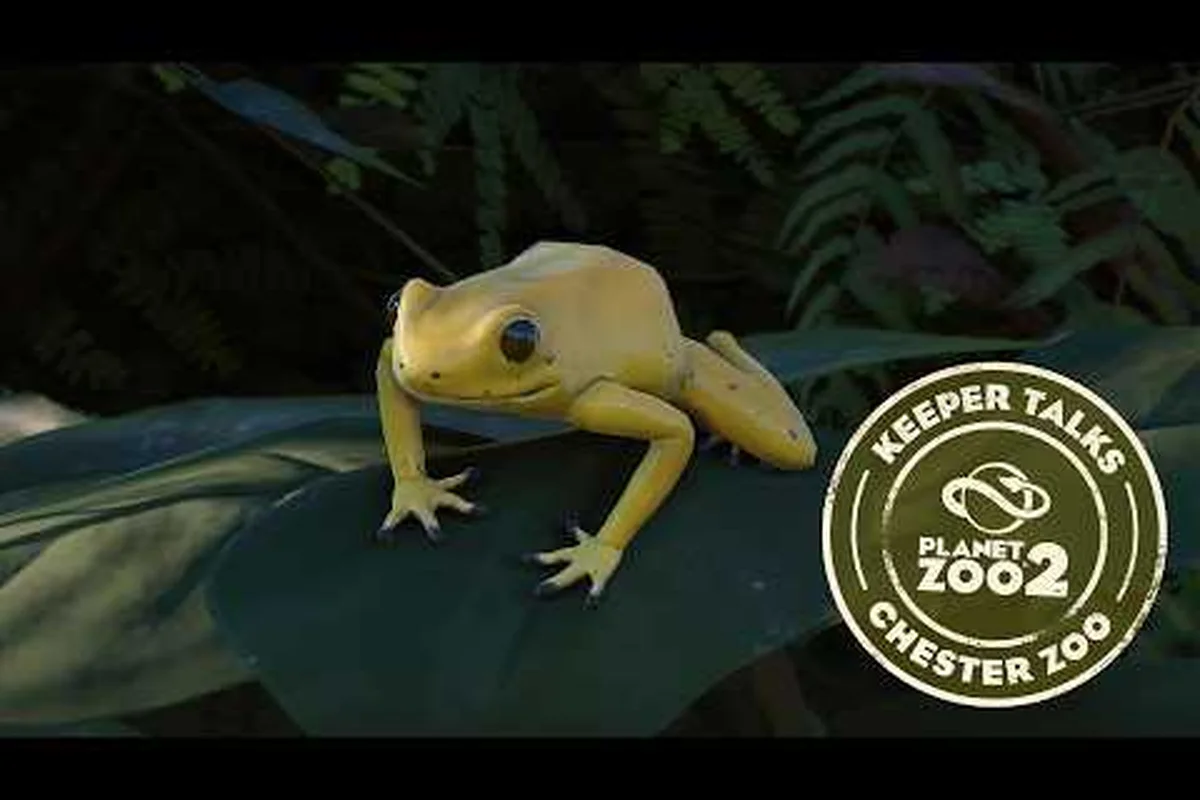 Planet Zoo 2 Exhibit Guide: Temperature, Enrichment & Welfare