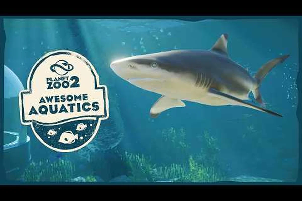 Planet Zoo 2 Freshwater Aquarium: Build & Filtration